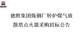 德胜集团炼钢厂转炉煤气放散塔点火器招标项目